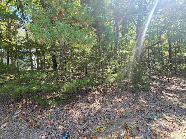 Listing photo 3 for LOT436 Highview, Fairfield Bay AR 72088