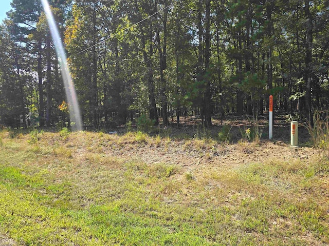 Listing photo 3 for LOT383 Pine Hill Rd, Fairfield Bay AR 72088