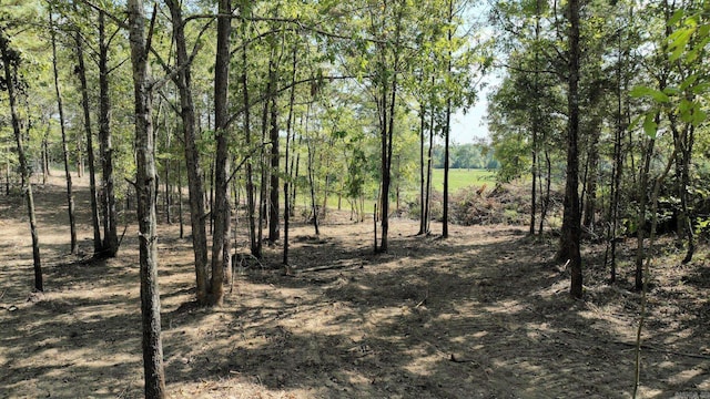 TBD,Tract3 Polk Road 158, Mena AR, 71953 land for sale