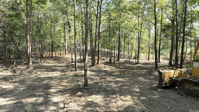 Listing photo 3 for TBD,Tract3 Polk Road 158, Mena AR 71953