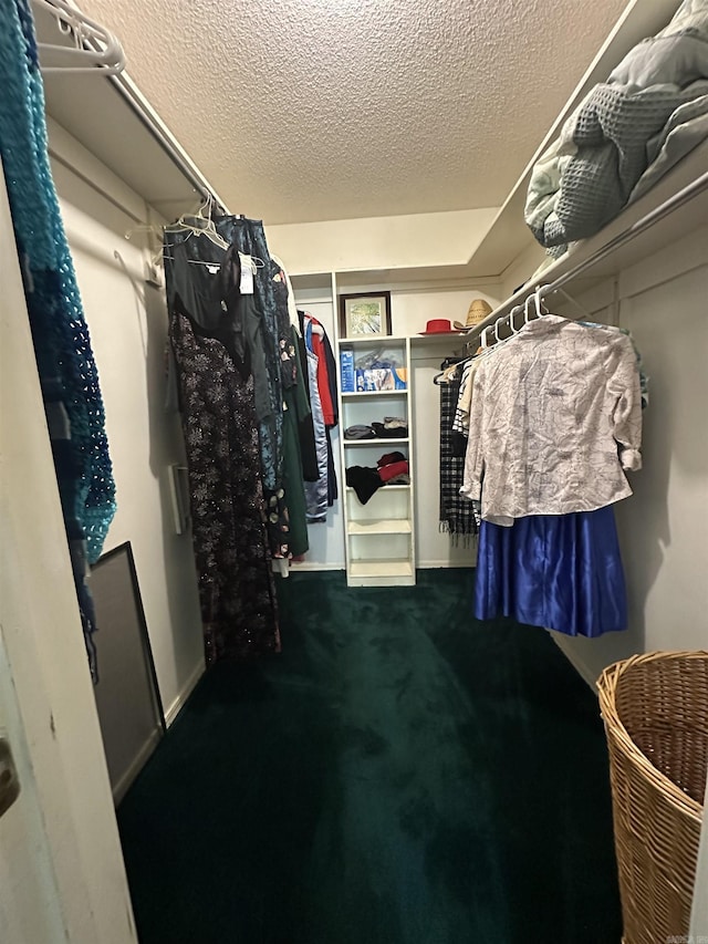 3409 Ramsgate, Fort Smith, AR 72908 - spacious closet with carpet flooring