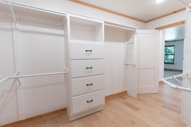 spacious closet featuring light hardwood / wood-style floors