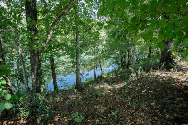 view of local wilderness featuring a water view