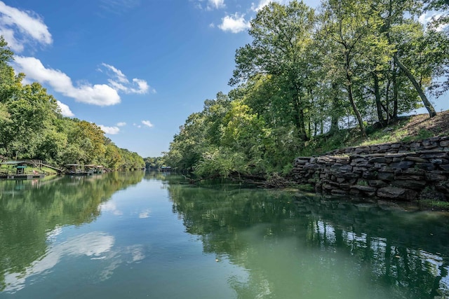 property view of water