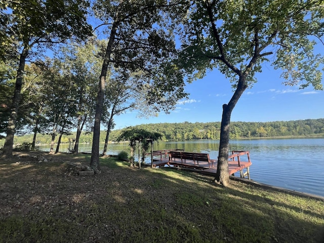 dock area featuring a water view and a view of trees