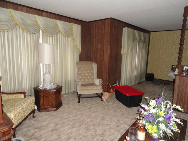 sitting room featuring wood walls and carpet floors