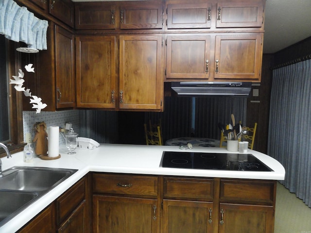 kitchen featuring stovetop, sink, tasteful backsplash, and ventilation hood