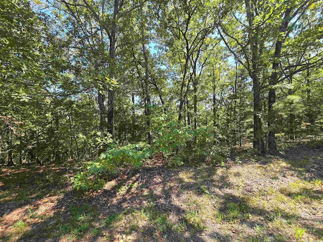 Listing photo 2 for LOT197 Pine Hill Rd, Fairfield Bay AR 72088