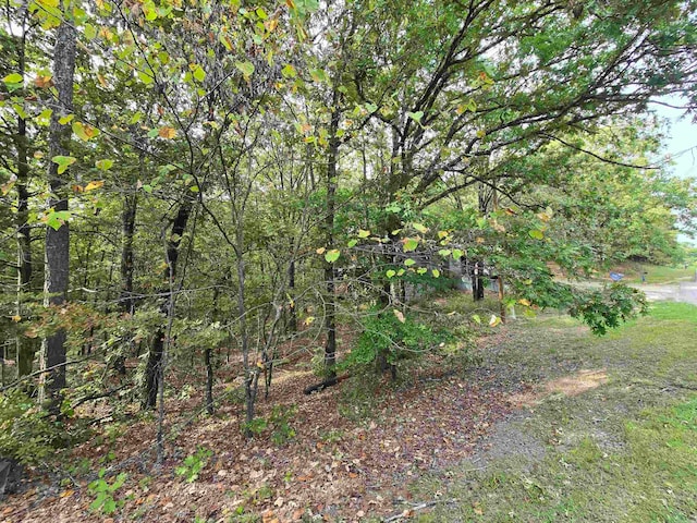 Listing photo 2 for LOT385 Dave Creek Pkwy, Fairfield Bay AR 72088