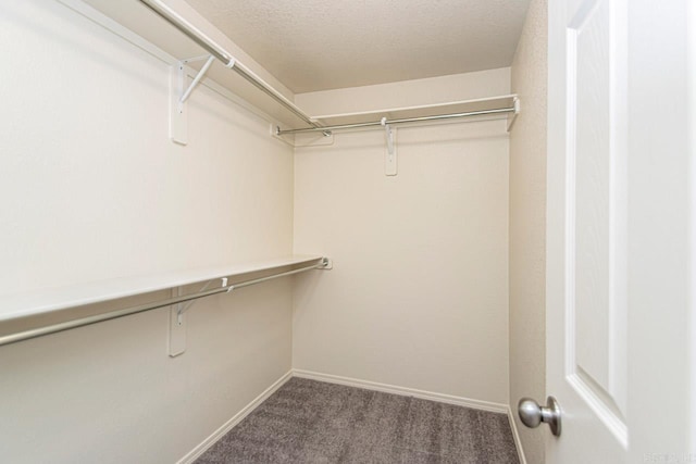 walk in closet with carpet