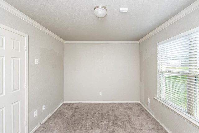 spare room with a textured ceiling, light colored carpet, and crown molding