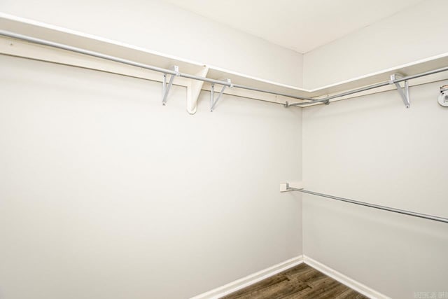 spacious closet featuring dark hardwood / wood-style flooring