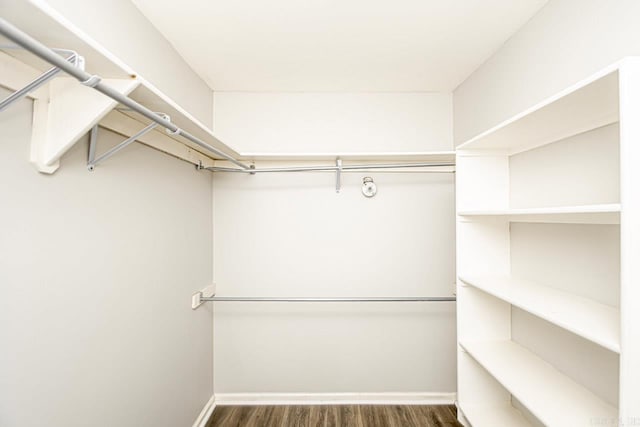 walk in closet with dark wood-type flooring