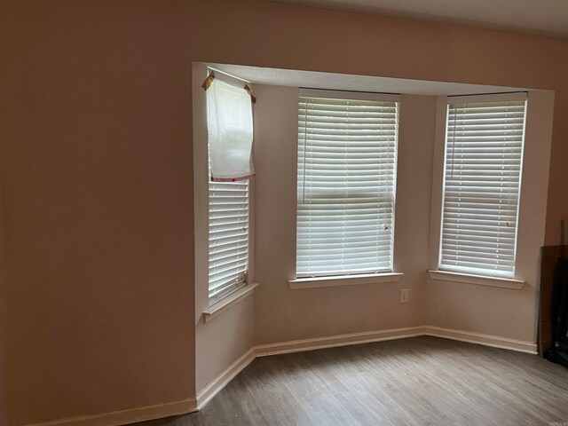 unfurnished room with wood-type flooring