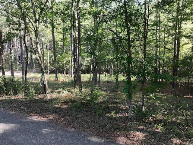 Listing photo 3 for XXX Kight Trail, Hot Springs AR 71913