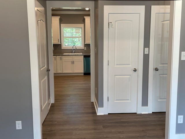 hallway featuring dark hardwood / wood-style floors and sink