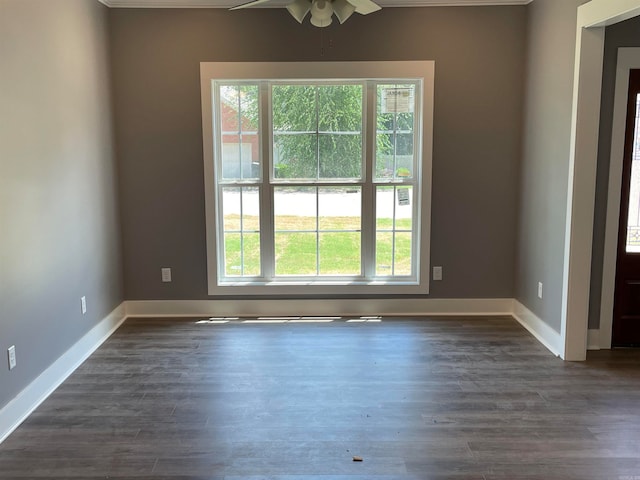 spare room with ceiling fan and dark hardwood / wood-style flooring