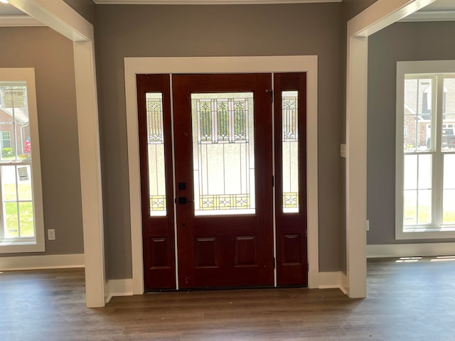 foyer featuring a wealth of natural light and dark wood-type flooring