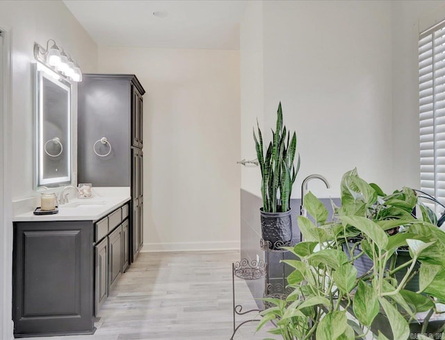 bathroom featuring hardwood / wood-style flooring and vanity