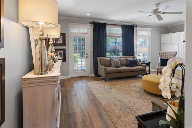 living room with ceiling fan, ornamental molding, and dark wood-type flooring