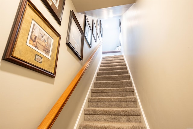 staircase with carpet flooring