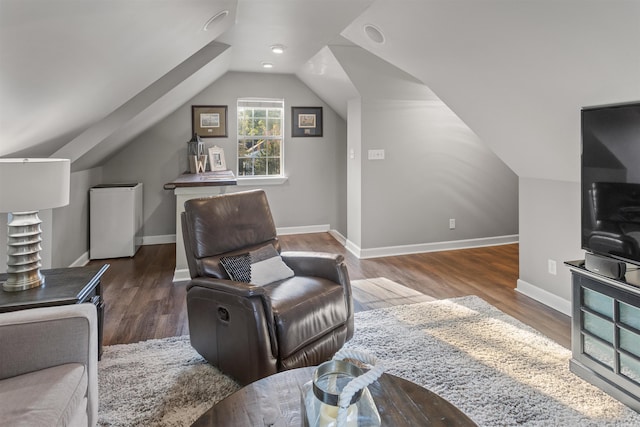 living room featuring lofted ceiling and dark wood-type flooring