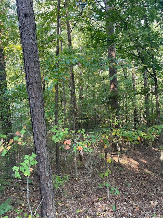 Acceso Cir, Hot Springs Village AR, 71909 land for sale