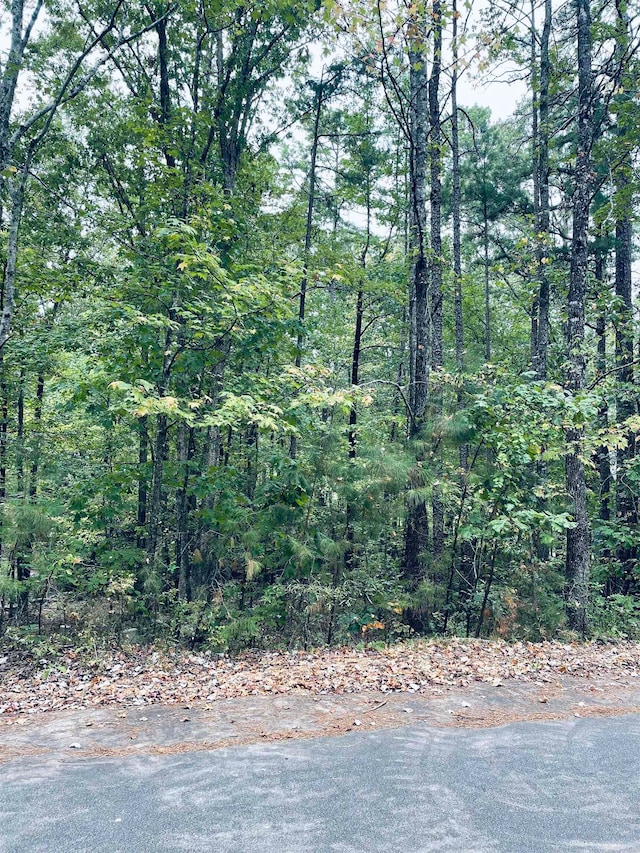 Listing photo 2 for Acceso Cir, Hot Springs Village AR 71909