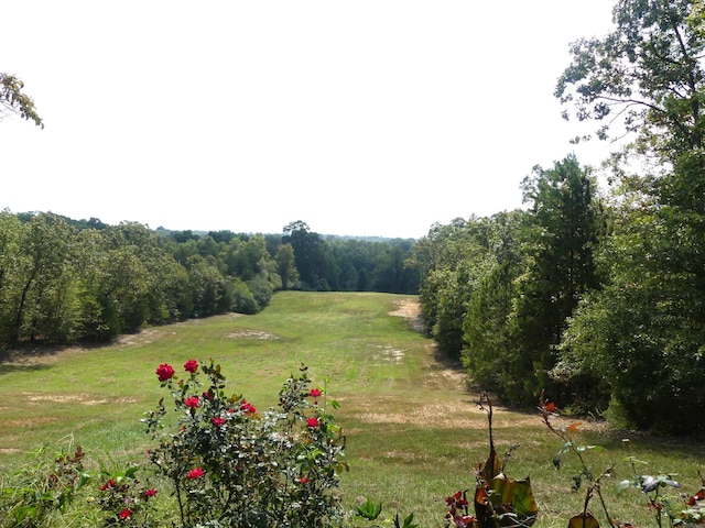 view of yard featuring a rural view