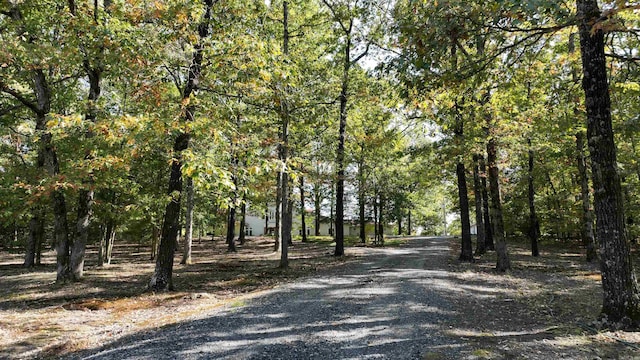 view of street