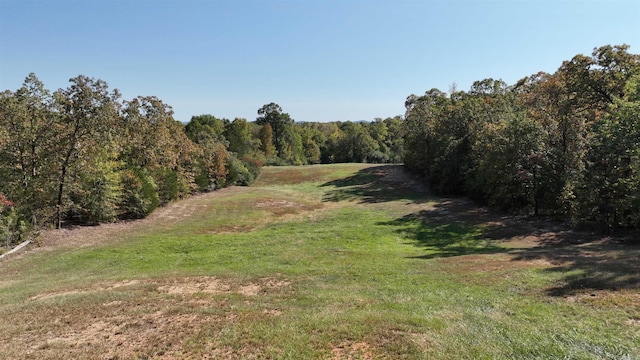 view of local wilderness