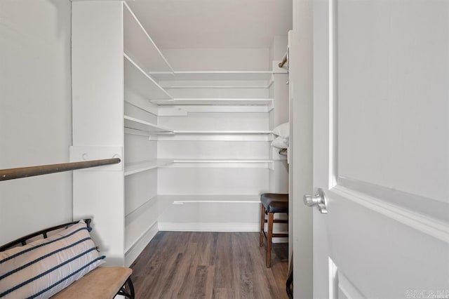 spacious closet featuring dark hardwood / wood-style flooring