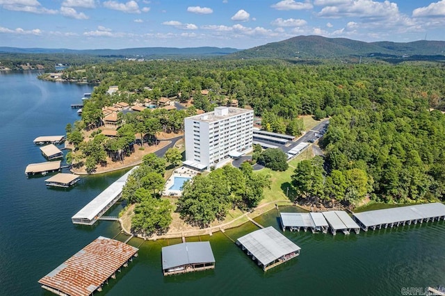 aerial view of a forest and a water and mountain view