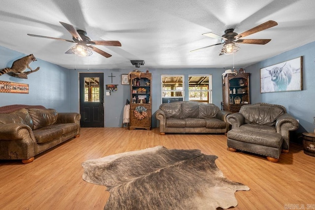 living room featuring a textured ceiling, light hardwood / wood-style flooring, and plenty of natural light