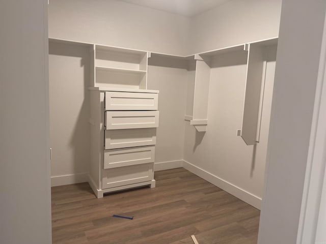 spacious closet with dark hardwood / wood-style floors