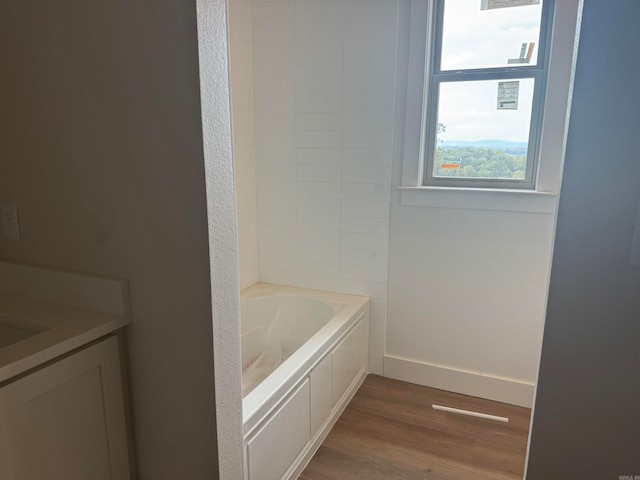 bathroom featuring a tub and hardwood / wood-style flooring