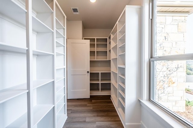 walk in closet with dark hardwood / wood-style floors