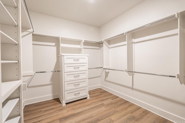 spacious closet featuring light wood-type flooring