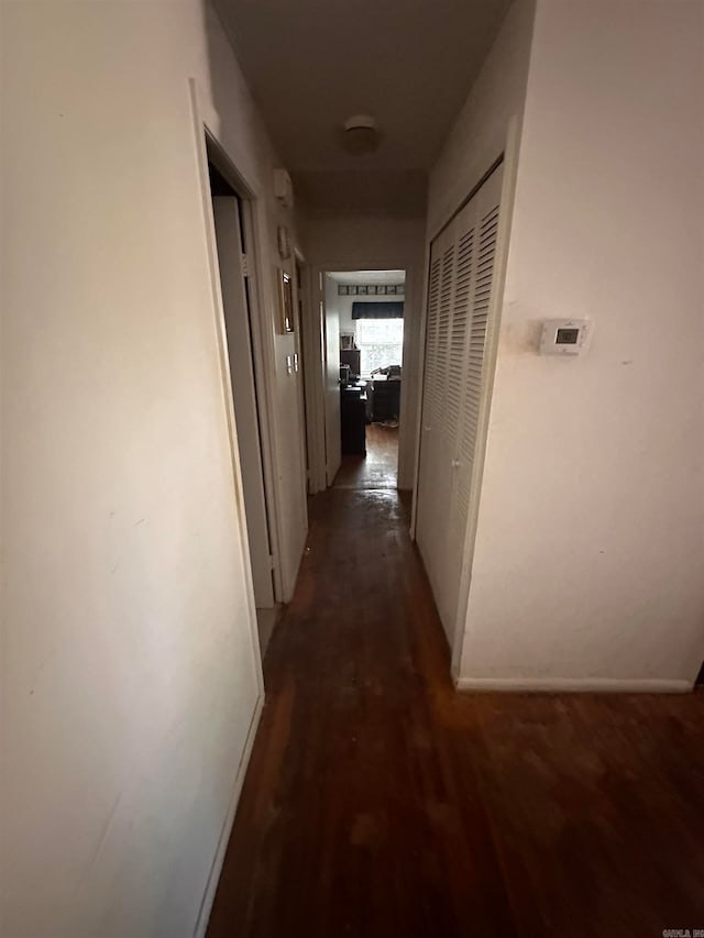 corridor with dark wood-type flooring