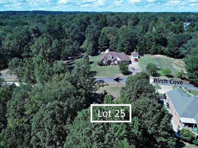 Listing photo 3 for LOT25 Birch Cv, Arkadelphia AR 71923