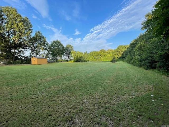 view of yard featuring a storage shed