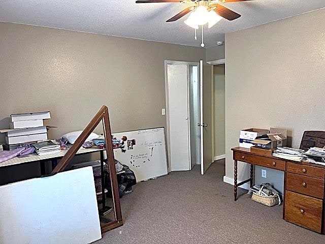 carpeted office with ceiling fan