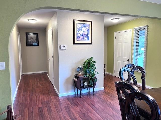 corridor with dark hardwood / wood-style flooring