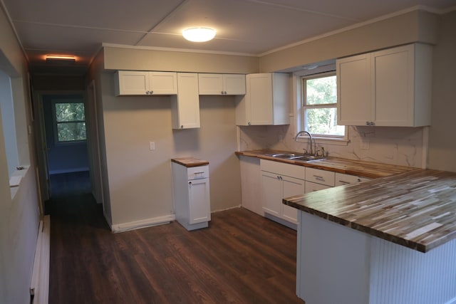 kitchen with white cabinets, sink, tasteful backsplash, dark hardwood / wood-style floors, and wood counters