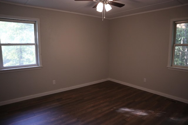 spare room with ceiling fan, ornamental molding, dark wood-type flooring, and a wealth of natural light