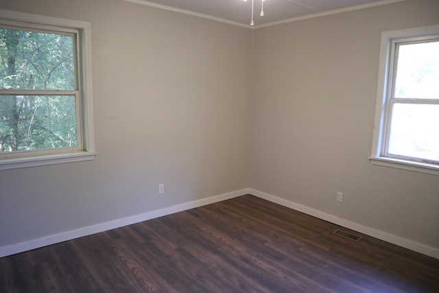 spare room featuring crown molding, dark hardwood / wood-style floors, and a wealth of natural light