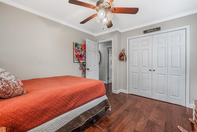 bedroom with ornamental molding, a closet, ceiling fan, and dark wood-type flooring