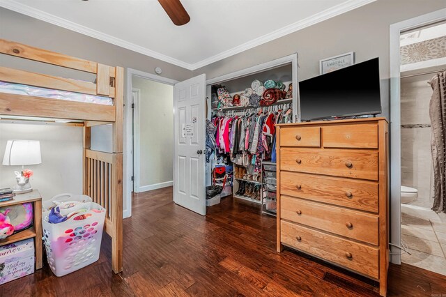 bedroom featuring a closet, connected bathroom, dark hardwood / wood-style flooring, ornamental molding, and ceiling fan