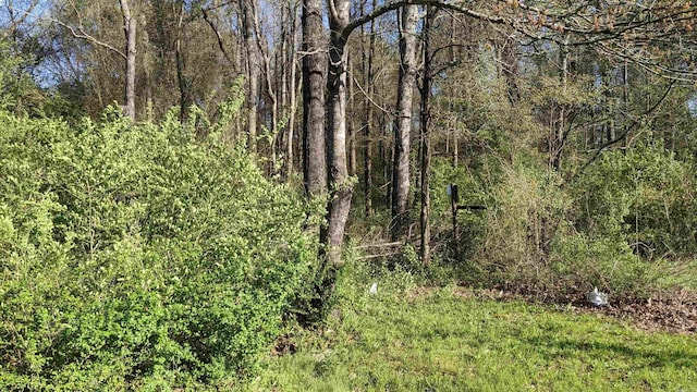 32 Oddie Ln, Ward, AR 72176