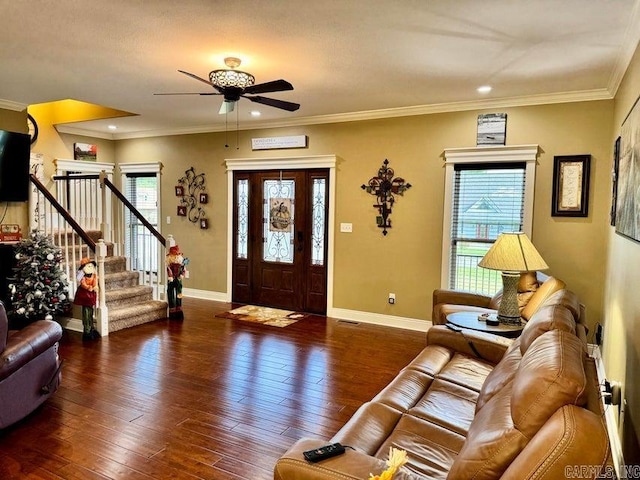 foyer entrance with ornamental molding, ceiling fan, and dark hardwood / wood-style floors